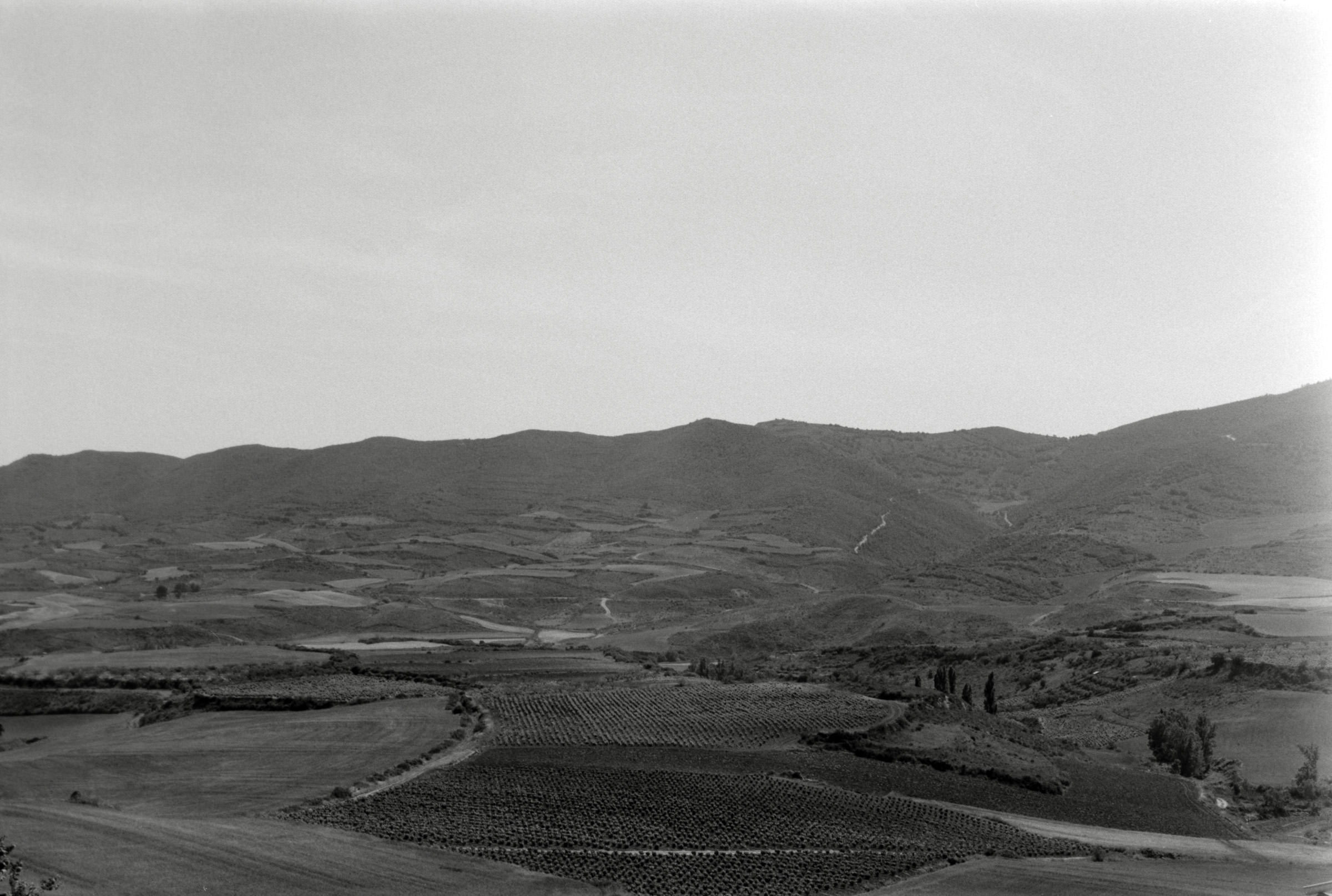 AHP F1995 05 006 sc240818 img36 NLP